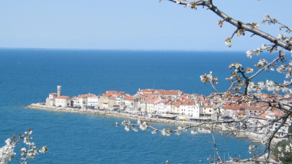 Apartment Hisa 7 Piran Kamer foto